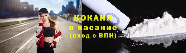 сатива Алексеевка
