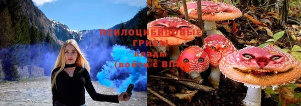 метадон Алексин