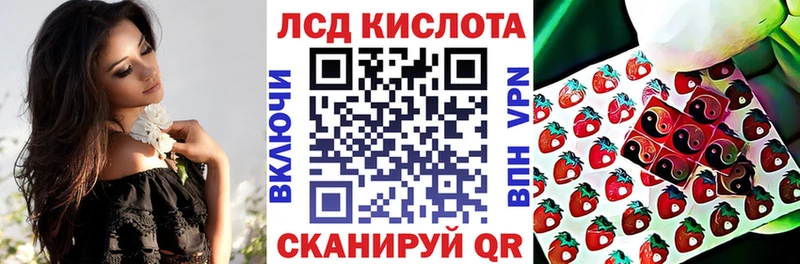 купить закладку  Пучеж  Наркотические марки 1500мкг 